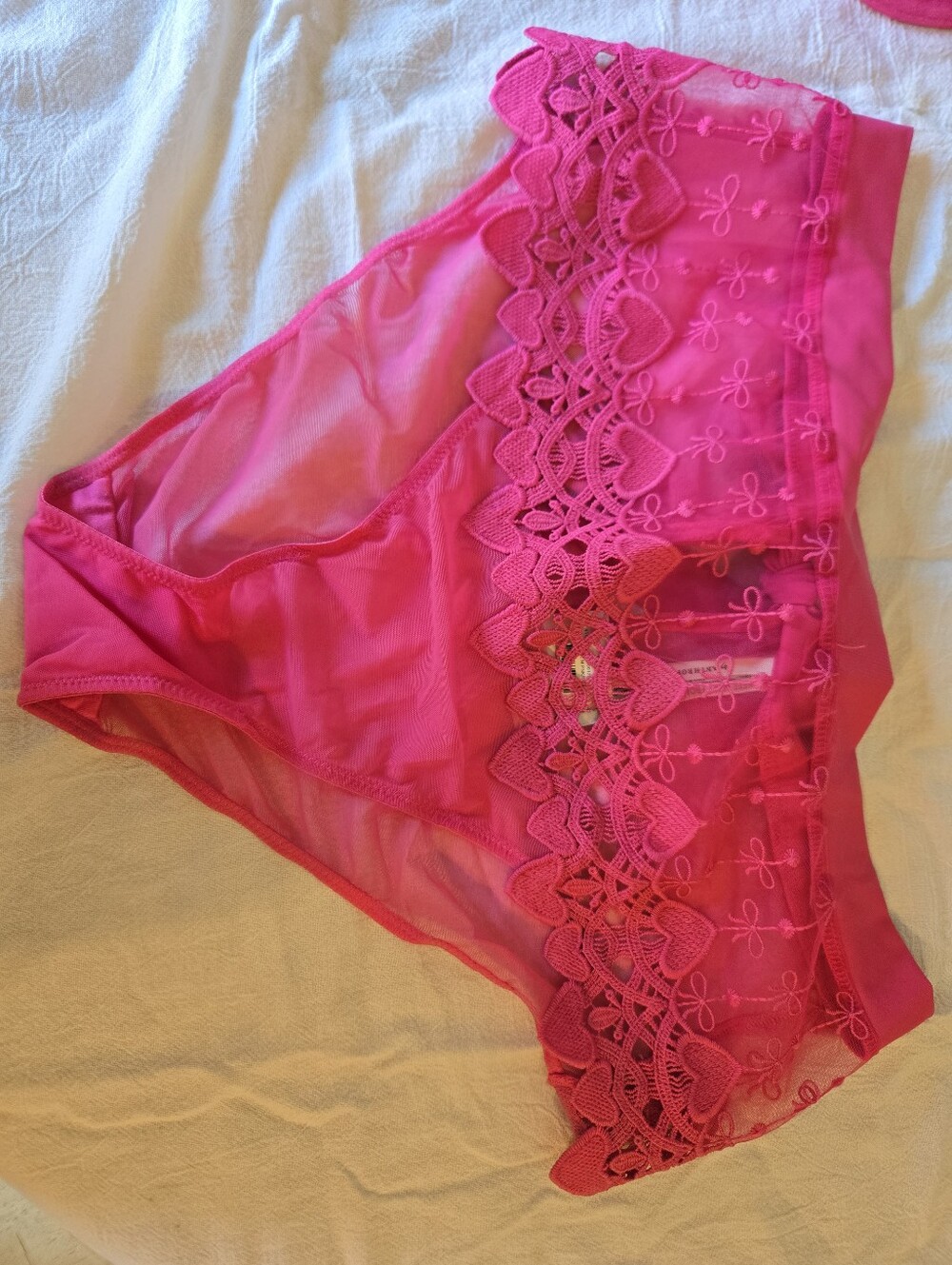 Anthropologie Pink Lace High Waisted Panty